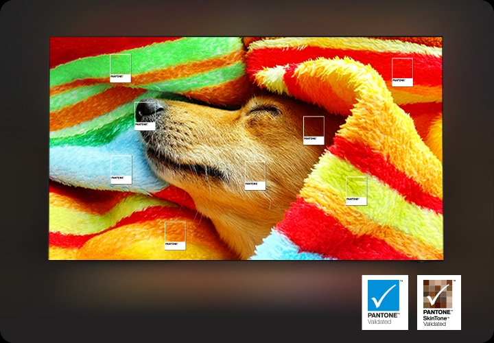 강아지가 붉은색 천에 감싸여져 있는데 여러가지 색으로 이루어진 천의 색을 생생하게 전하는 영상미를 설명하는 이미지입니다.