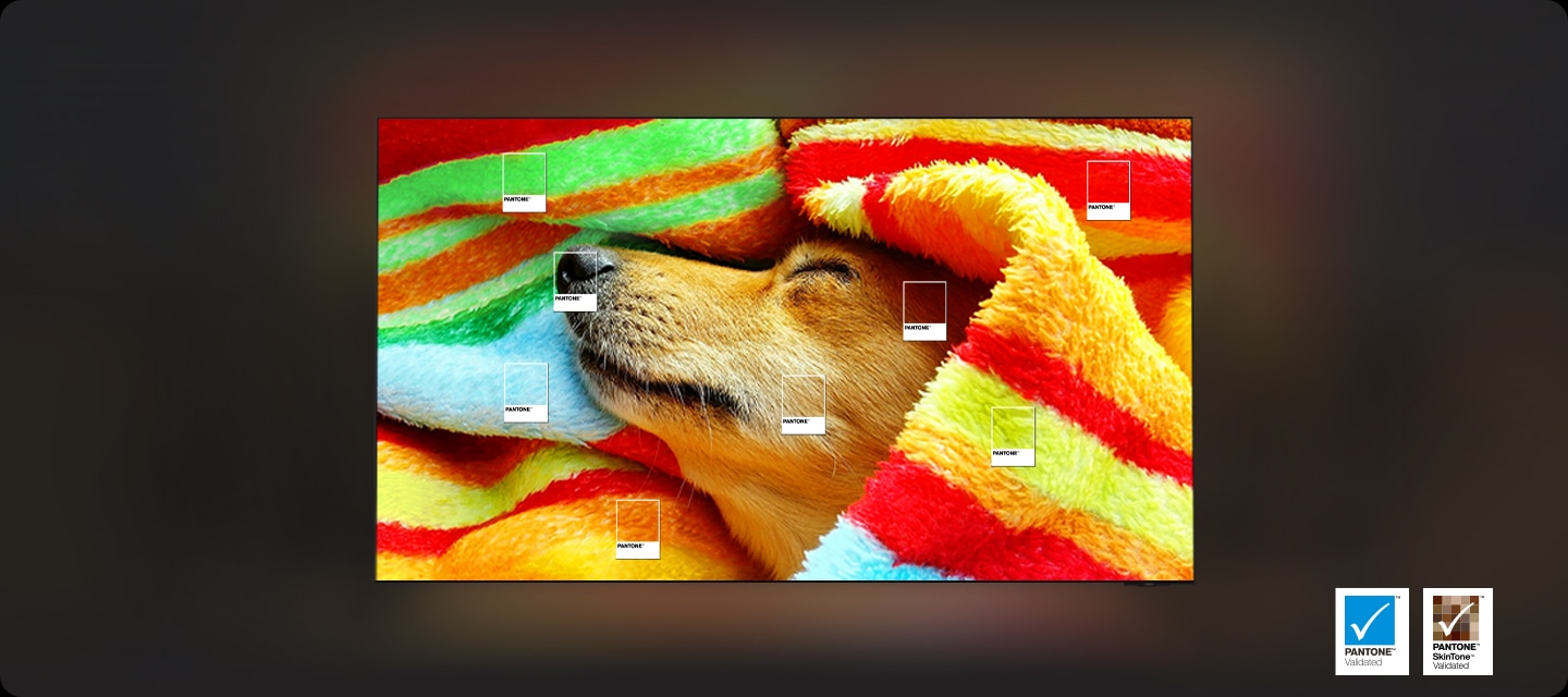 강아지가 붉은색 천에 감싸여져 있는데 여러가지 색으로 이루어진 천의 색을 생생하게 전하는 영상미를 설명하는 이미지입니다.