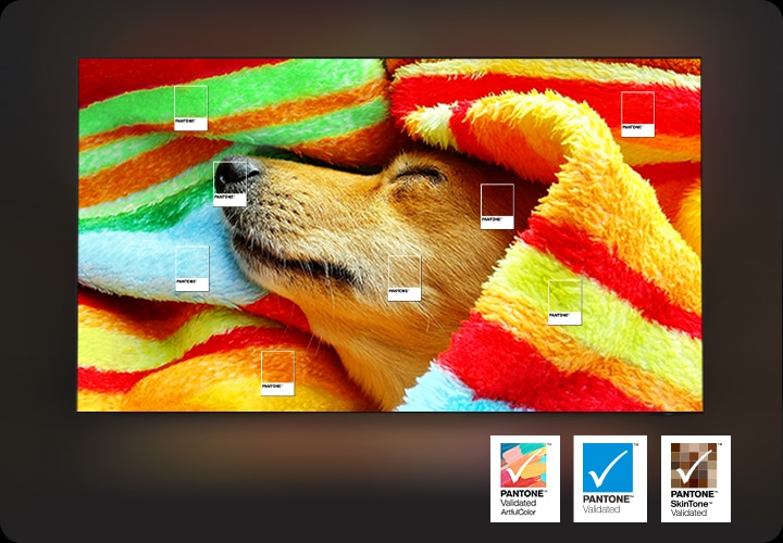 강아지가 붉은색 천에 감싸여져 있는데 여러가지 색으로 이루어진 천의 색을 생생하게 전하는 영상미를 설명하는 이미지입니다.