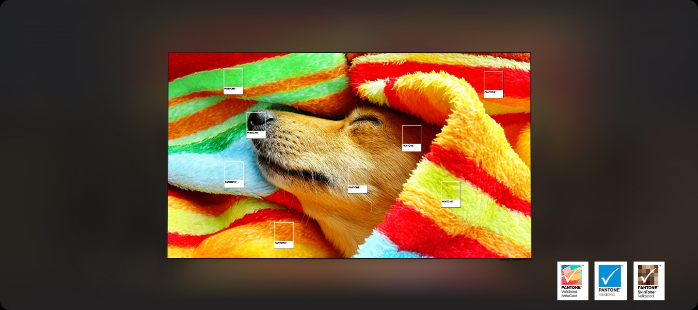 강아지가 붉은색 천에 감싸여져 있는데 여러가지 색으로 이루어진 천의 색을 생생하게 전하는 영상미를 설명하는 이미지입니다.