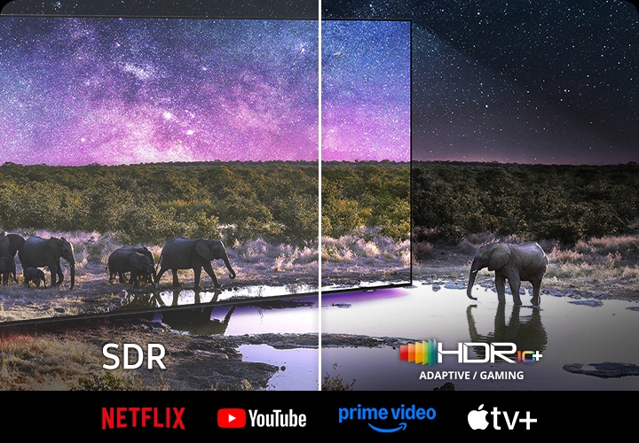 TV 화면 속에서는 코끼리가 보입니다. 왼쪽 하단에는 SDR 문구가 오른쪽 하단에는 HDR10+ 로고가 보입니다. 이미지 하단에는 NETFLIX, YouTube, prime video, Apple tv 로고가 보입니다.
