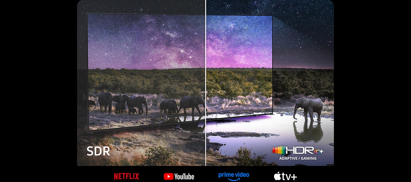 TV 화면 속에서는 코끼리가 보입니다. 왼쪽 하단에는 SDR 문구가 오른쪽 하단에는 HDR10+ 로고가 보입니다. 이미지 하단에는 NETFLIX, YouTube, prime video, Apple tv 로고가 보입니다.