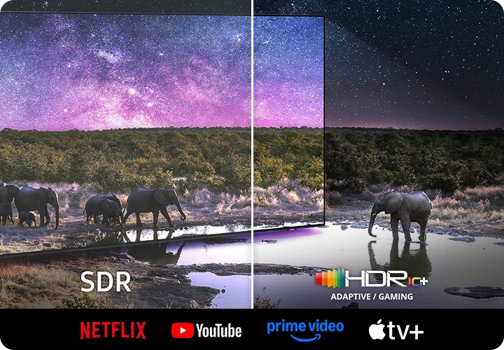 TV 화면 속에서는 코끼리가 보입니다. 왼쪽 하단에는 SDR 문구가 오른쪽 하단에는 HDR10+ 로고가 보입니다. 이미지 하단에는 NETFLIX, YouTube, prime video, Apple tv 로고가 보입니다.