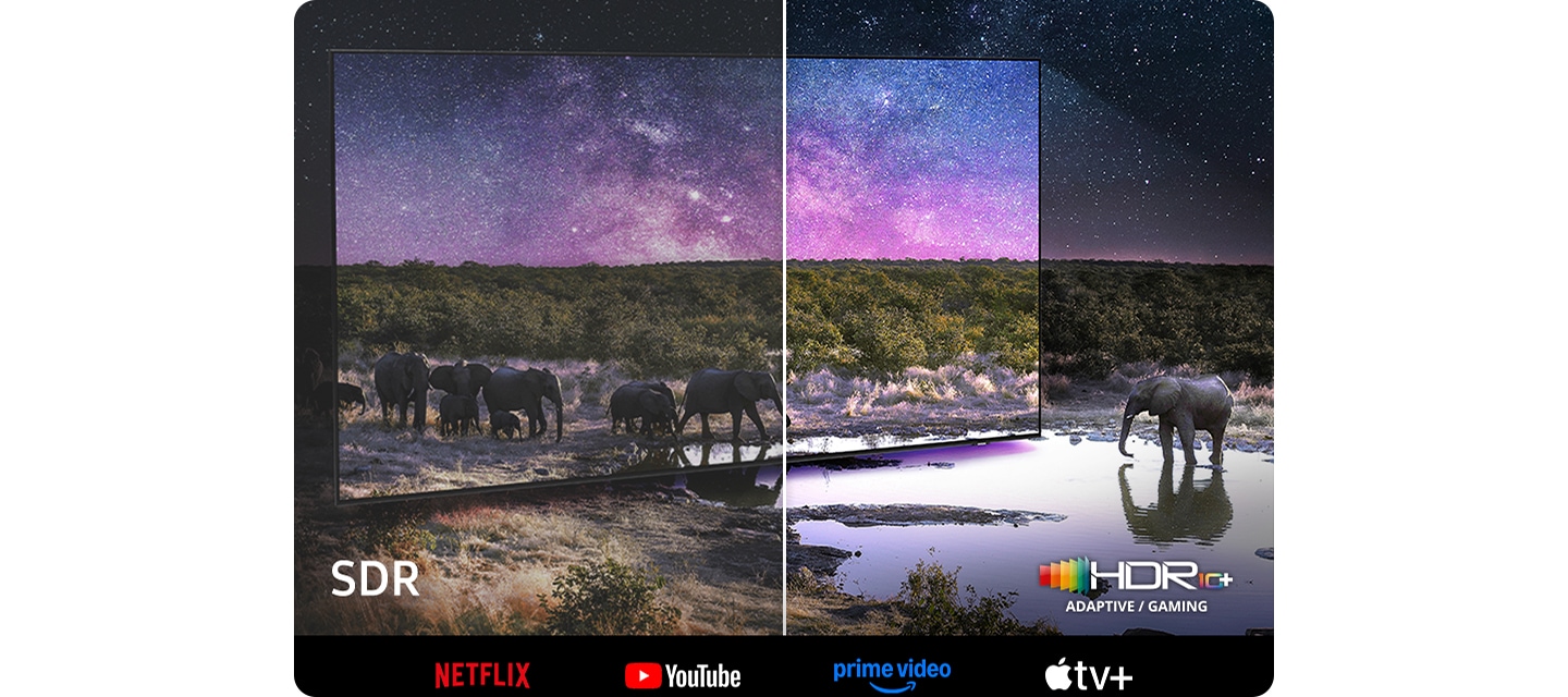 TV 화면 속에서는 코끼리가 보입니다. 왼쪽 하단에는 SDR 문구가 오른쪽 하단에는 HDR10+ 로고가 보입니다. 이미지 하단에는 NETFLIX, YouTube, prime video, Apple tv 로고가 보입니다.