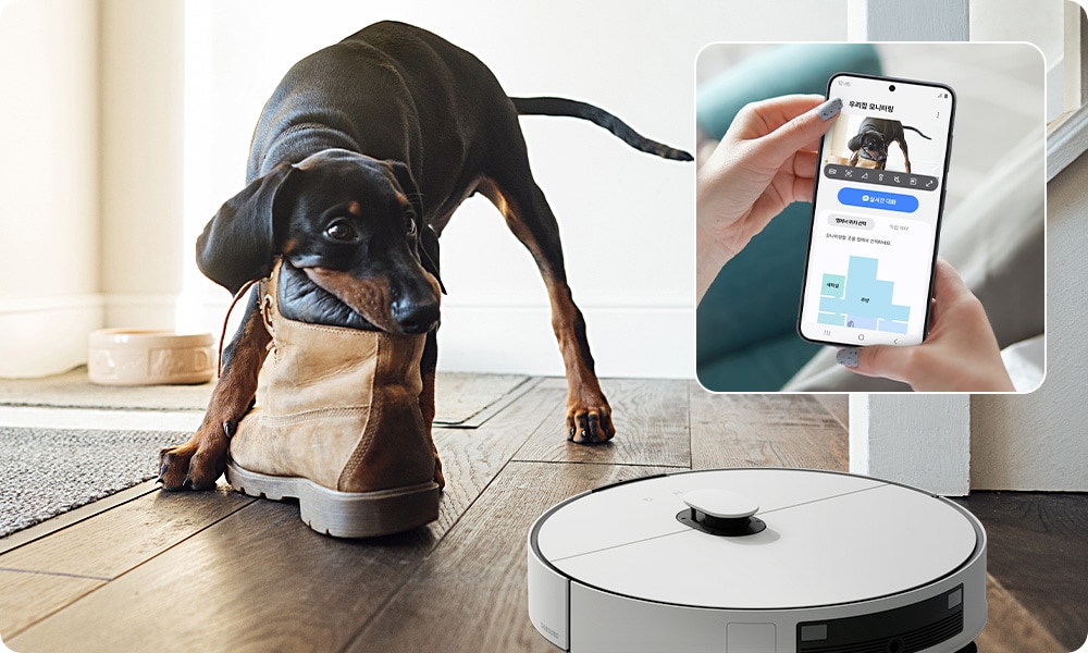 진한 나무 바닥에 현관을 배경으로 이미지 왼쪽 부분에는 신발을 물어뜯고 있는 강아지 모습이 있고, 강아지를 보고 있는 Bespoke AI 스팀 울트라의 모습이 있습니다. 이미지 오른쪽 상단 부분에는 Bespoke AI 스팀 울트라의 카메라에 연결된 SmartThings 앱을 통해 신발을 물어뜯는 반려견을 모니터링 하고 있는 사람의 손이 나오고 있습니다.