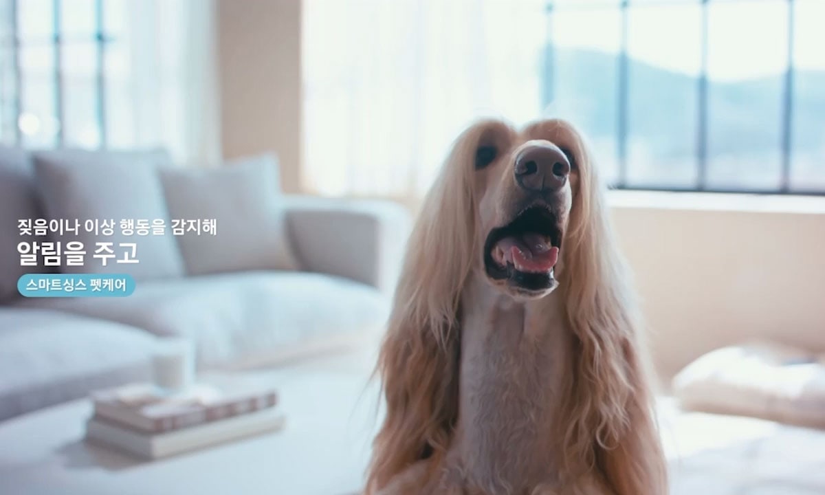 펫 케어 영상 썸네일
