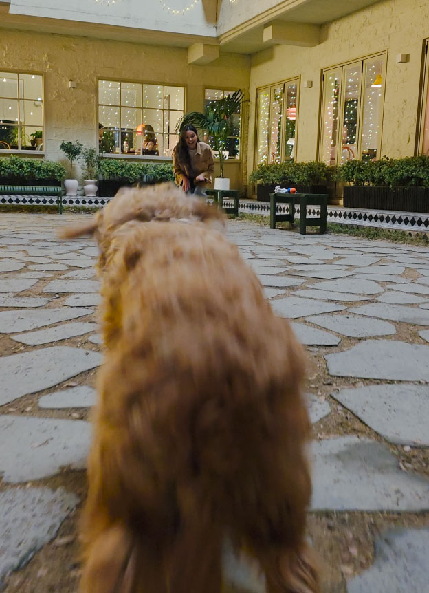 Порно минет сперму в аузына ірі планмен