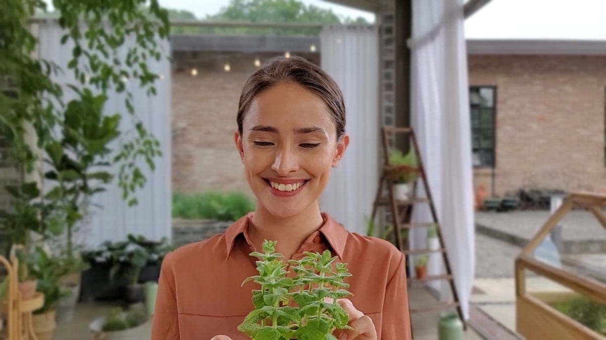 Una mujer cuidando sus plantas, filmada con el filtro Desenfoque en video con Live Focus. El fondo está notablemente suavizado para que la mujer y su planta se destaquen más.