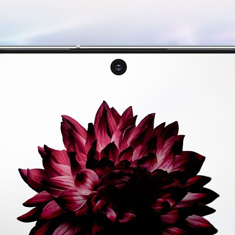Plan rapproché du Galaxy Note 10 et de l'écran Infinity-O cinématique avec une fleur à l'écran
