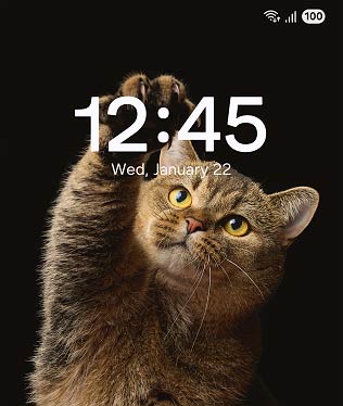 galaxy-s25-ultra-features-one-ui-notification-a-start.jpg (316×374)