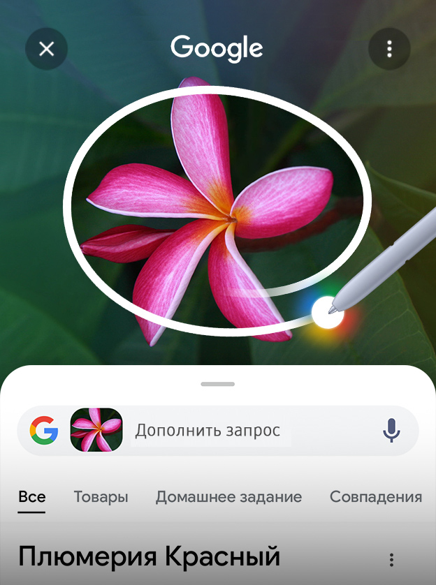 Фаворитки и любовницы французских королей - в лучших портретах: xlebsol.ru — LiveJournal