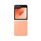 Color Thumbnail Peach