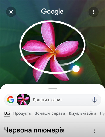 Зображення рослин на екрані було обведено колом, а під ним – результати пошуку Google.
