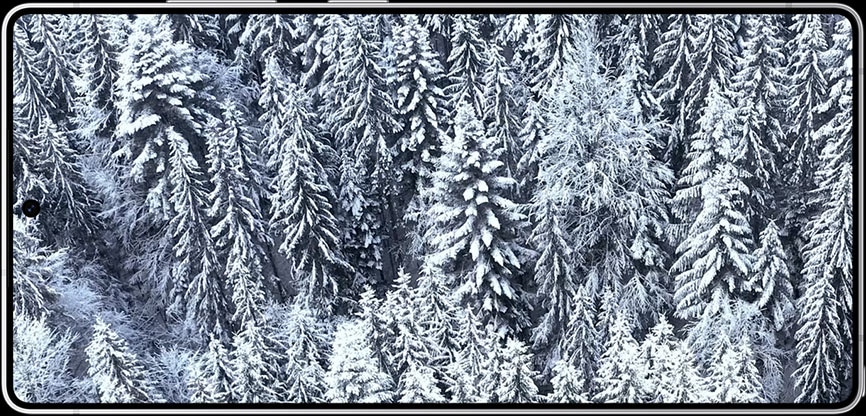 Bosque nevado en la pantalla del Galaxy S25 Ultra
