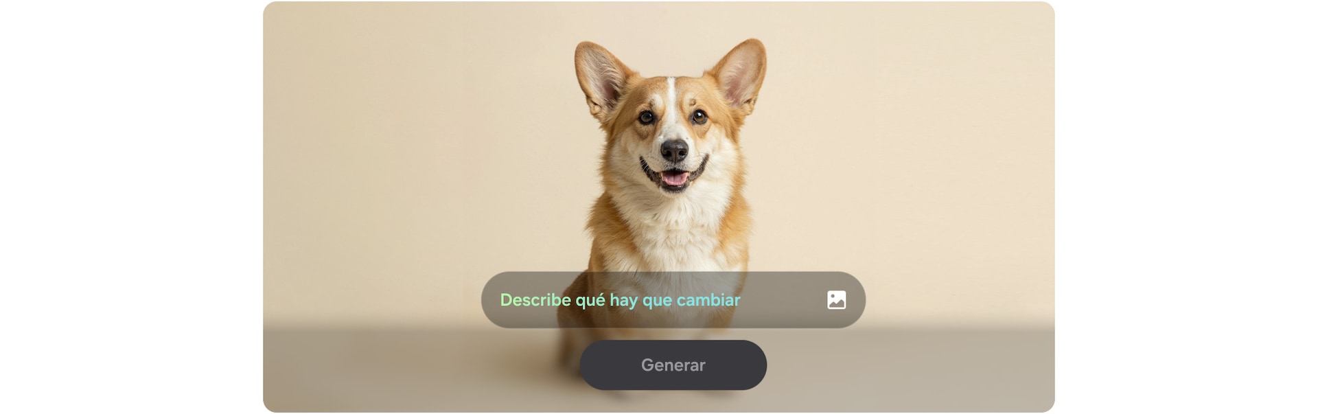 Photo Assist: editás escribiendo lo que querés